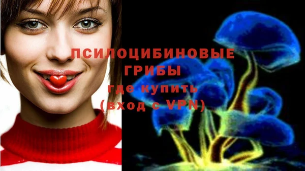 молекула духа Алексин