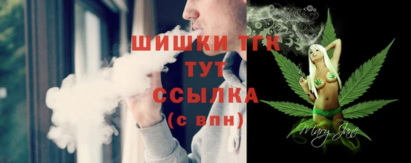 тгк Алзамай