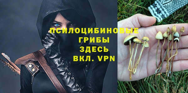 тгк Алзамай