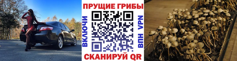 дарнет шоп  Изобильный  Галлюциногенные грибы MAGIC MUSHROOMS 